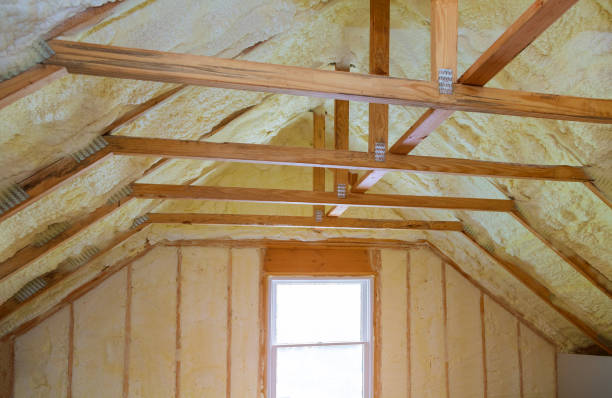 Best Geographic-Specific Insulation Services in Port Byron, NY